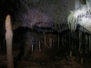From the Depths of the Earth. The millenary cavern is part of a very attractive eco-tourism route. (Photo: Ismael Francisco) From the Depths of the Earth. The millenary cavern is part of a very attractive eco-tourism route. (Photo: Ismael Francisco)