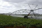 Cuba to Devote Half of Water Available to Agriculture