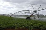 Cuba to Devote Half of Water Available to Agriculture 