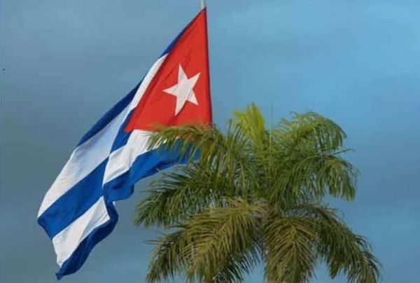 cuban flag and palm tree