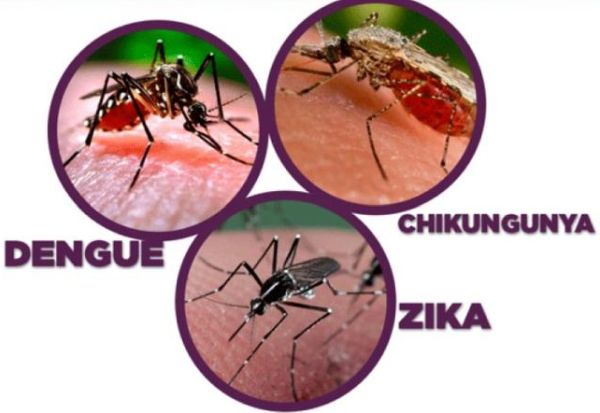 zika