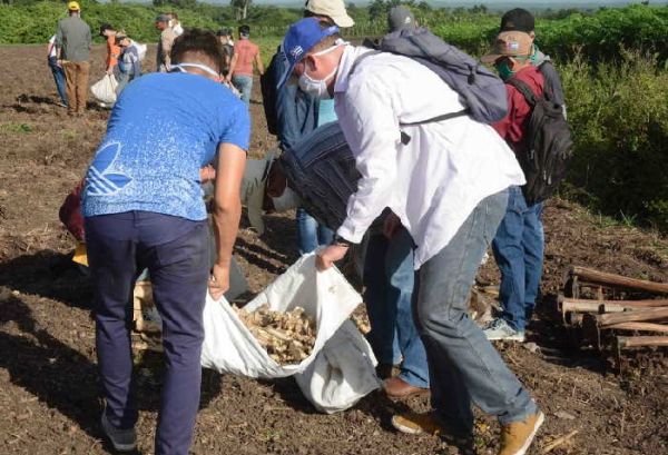 youth support food production in sancti spiritus, cuba