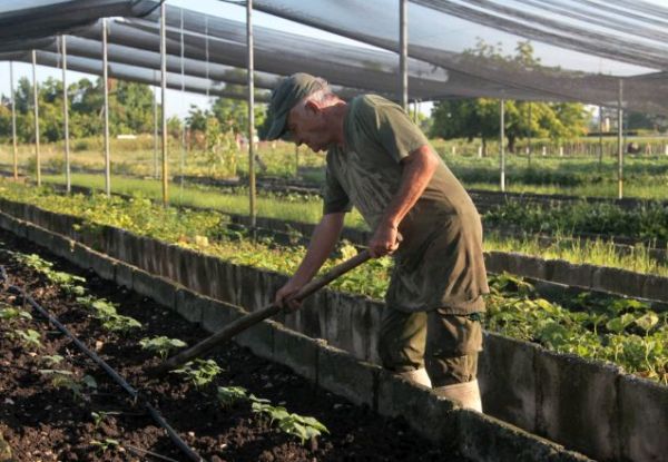 urban garden in sancti spiritus1