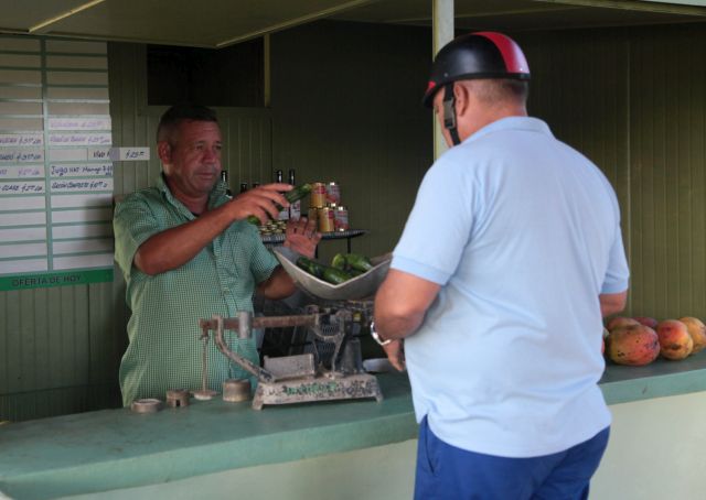 urban garden in sancti spiritus2