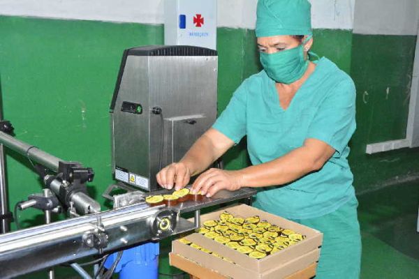 A female worker organizes minidose packages of honey for commercialization 