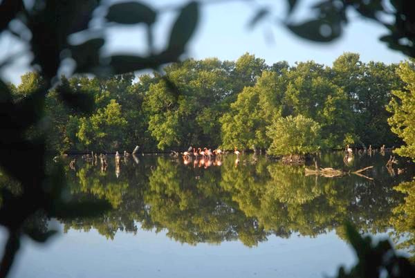 Caguanes National Park in Yaguajay, central Cuban province of Sancti Spiritus