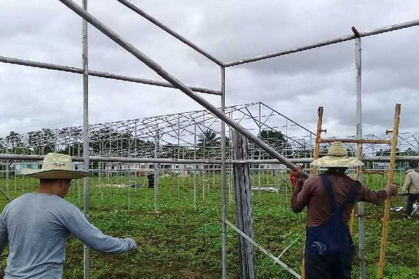 Construction of facilities for the cultivation of vegetables in Yaguajay, central Cuba