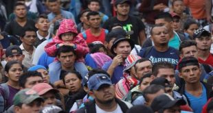 migrant-caravan
