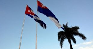 Cuban flags and palm trees