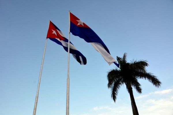 Cuban flags and palm trees