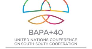 south-south cooperation