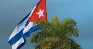 cuban flag and palm tree