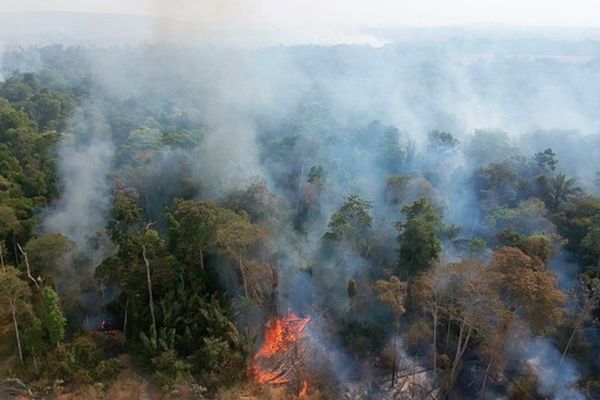 fires in amazonia