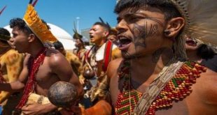 brazilian indigenous people