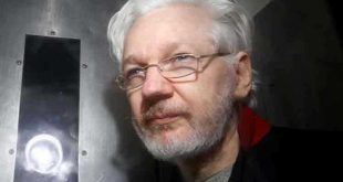 uk, julian assange, wikileaks