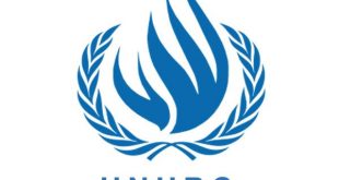 united nations human rights council logo