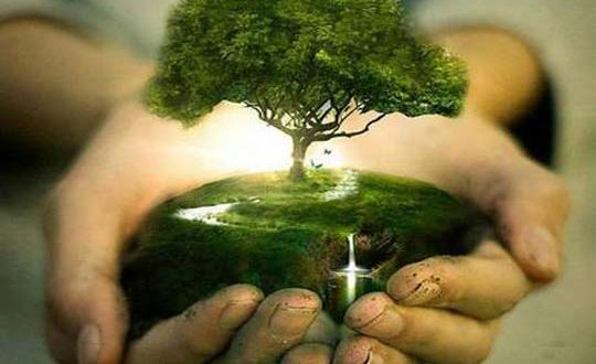 International Tree Day, Day of a World